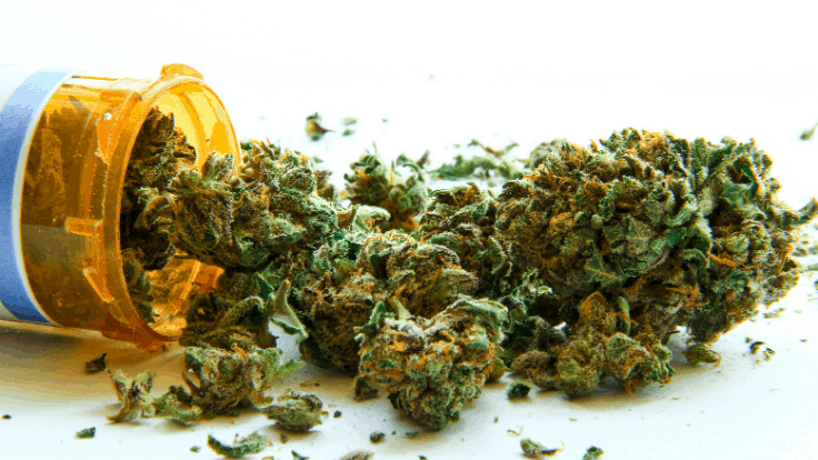Medical Cannabis Dispensary Permits Announced in West Virginia